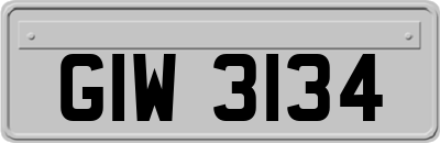 GIW3134