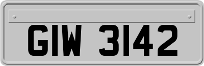 GIW3142