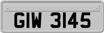 GIW3145
