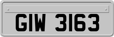 GIW3163