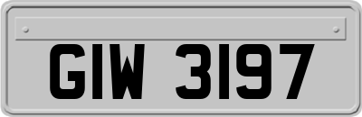 GIW3197