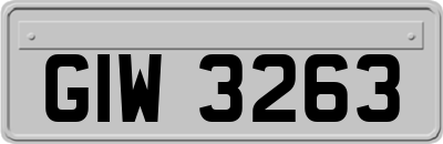 GIW3263