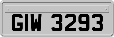GIW3293