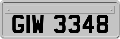 GIW3348