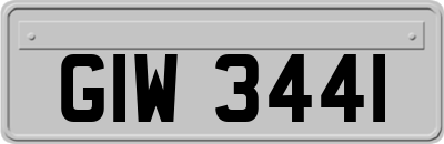 GIW3441