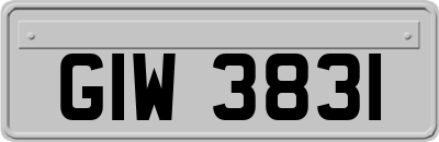 GIW3831