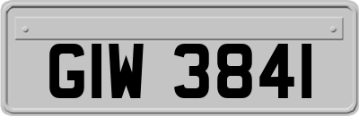 GIW3841