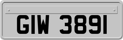 GIW3891