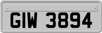 GIW3894