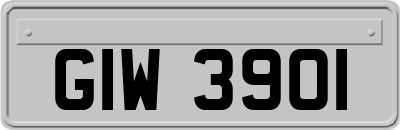 GIW3901