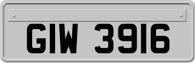 GIW3916