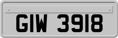 GIW3918