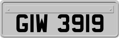 GIW3919