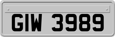 GIW3989