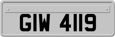 GIW4119