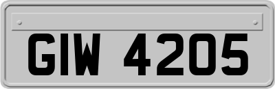 GIW4205