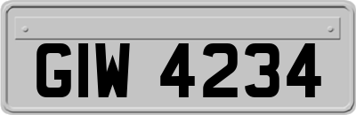 GIW4234