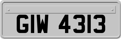 GIW4313