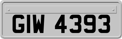 GIW4393