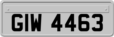 GIW4463