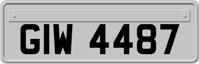 GIW4487