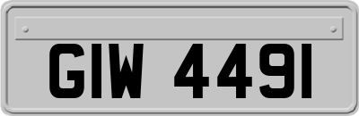 GIW4491