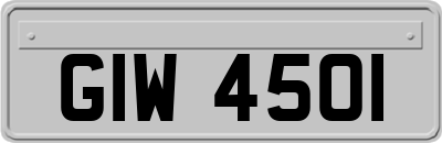 GIW4501