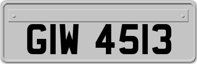 GIW4513