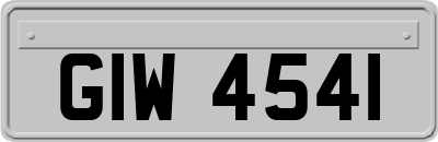 GIW4541