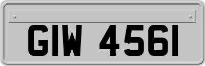 GIW4561