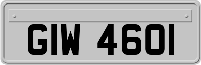 GIW4601