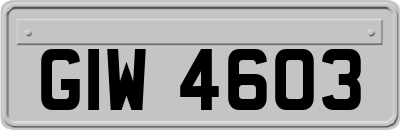 GIW4603