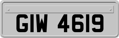 GIW4619