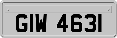 GIW4631