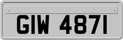 GIW4871