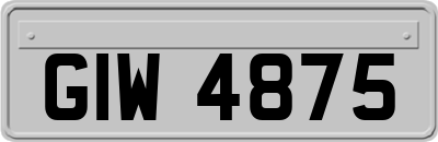 GIW4875