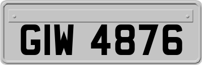 GIW4876