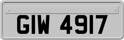 GIW4917