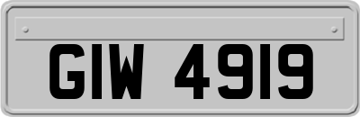 GIW4919