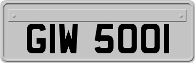 GIW5001