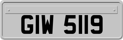 GIW5119