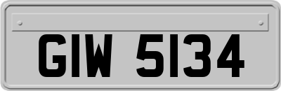 GIW5134