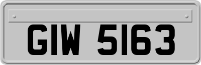 GIW5163