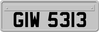 GIW5313