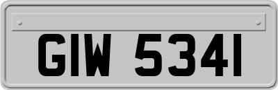 GIW5341