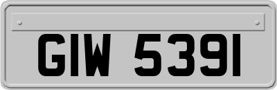 GIW5391