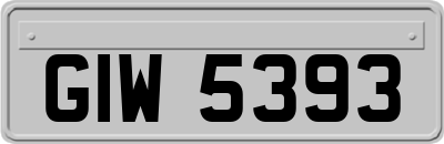 GIW5393