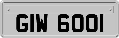 GIW6001