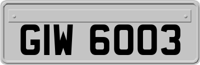 GIW6003