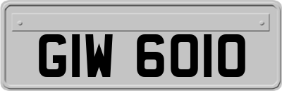 GIW6010